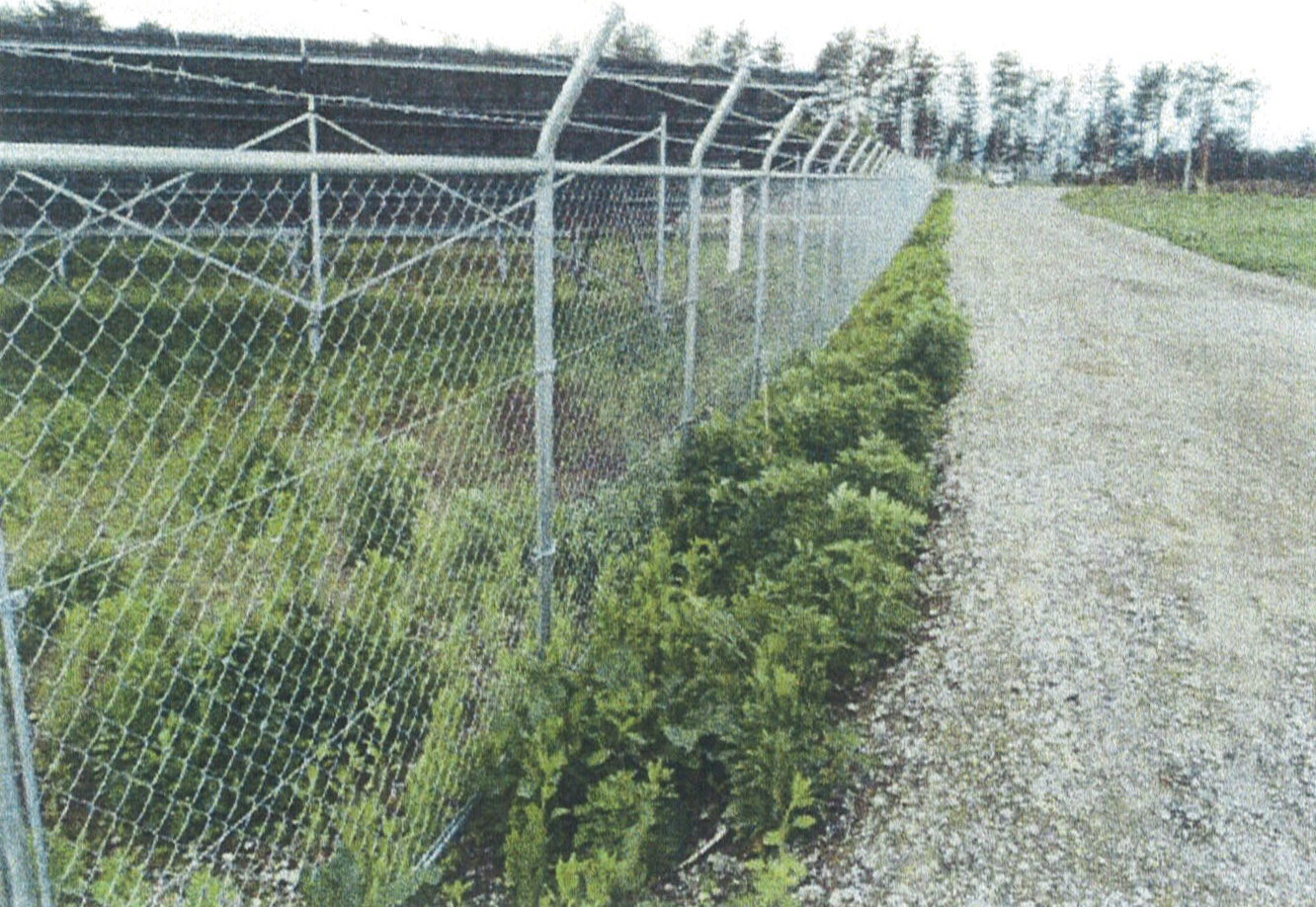 太陽光発電所の除草剤散布による雑草防除2