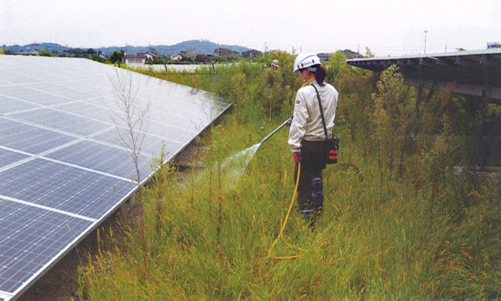 太陽光発電所の除草剤散布による雑草防除1